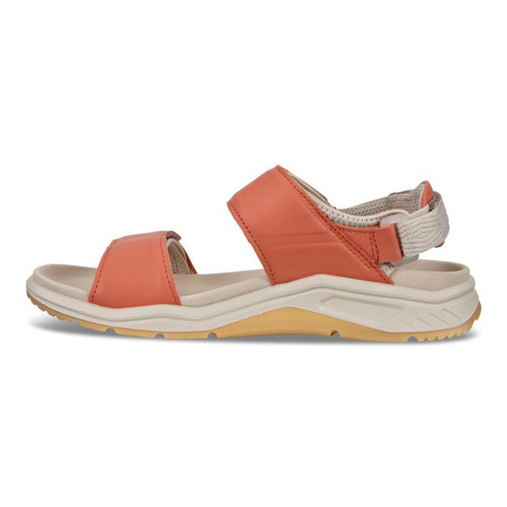 ECCO Womens Sandals Apricot - X-Trinsic Flat - ZTS-085963